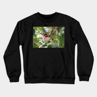 Red Admiral Crewneck Sweatshirt